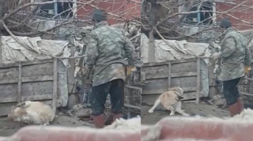 Köpeği sopayla döverken görüntülendi: 947 lira para cezası kesildi