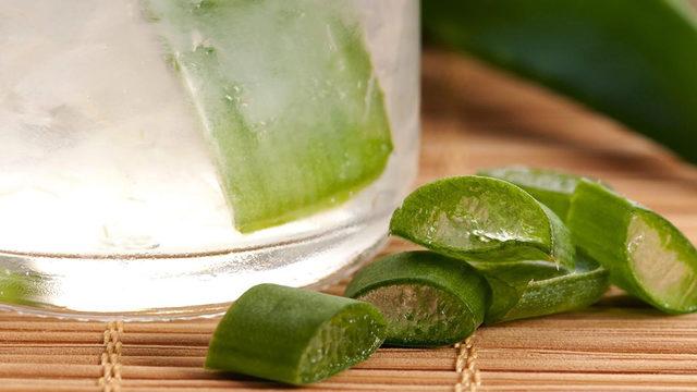 Cennetin Asâsı Olarak Anılan Aleo Vera Suyunun Vücudumuza Olan 8 İnanılmaz Etkisi