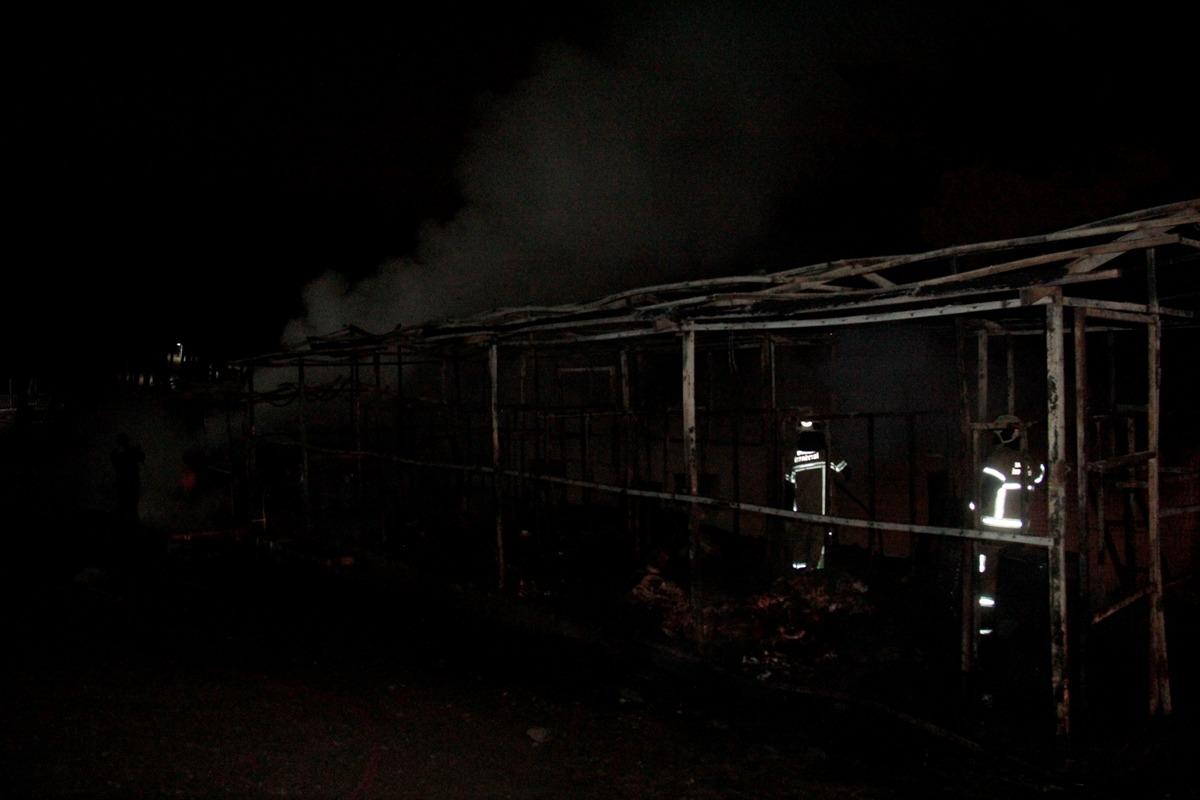 Bursa'da ormanın i&ccedil;indeki ahırda &ccedil;ıkan yangında 7 at telef oldu