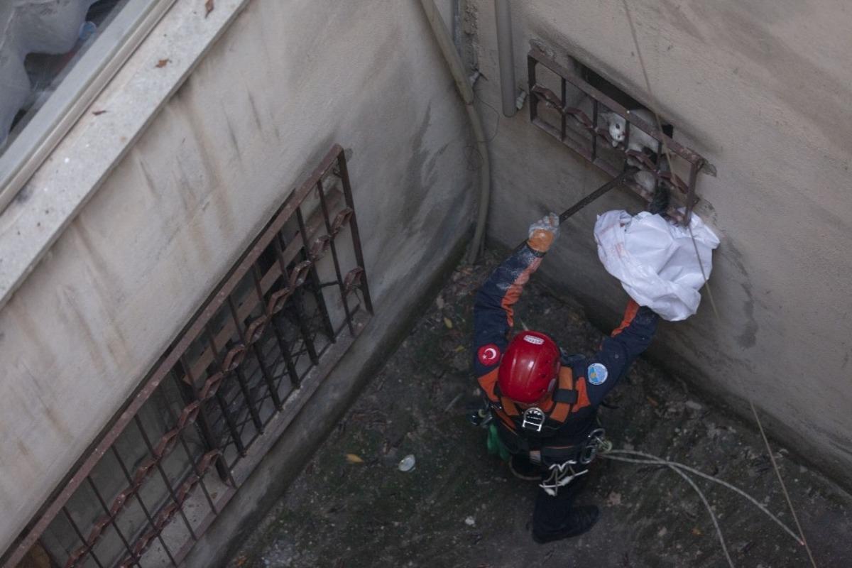 Apartman boşluğunda bir haftadır mahsur kalan kediyi itfaiye kurtardı