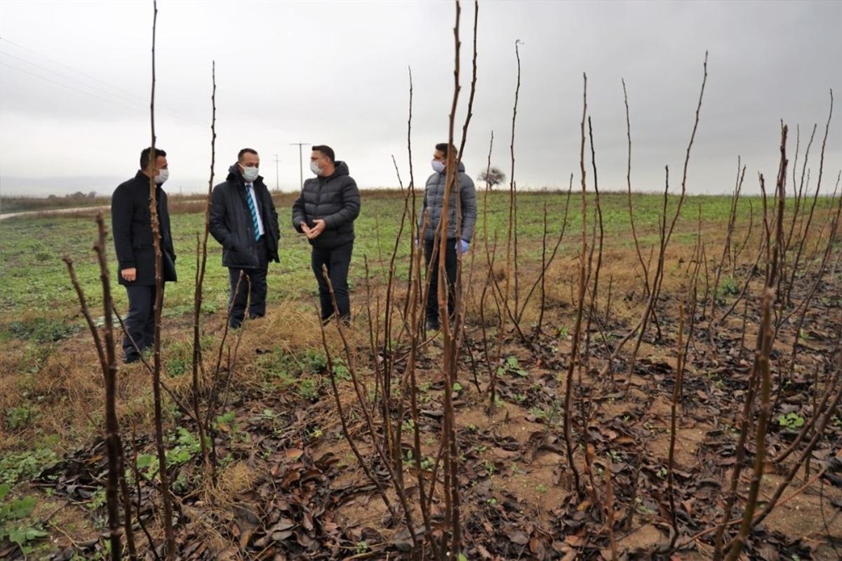 &rsquo;&rsquo;Benim Projem Senin Projen&rsquo;&rsquo; kapsamında ceviz &uuml;retim tesislerinde inceleme