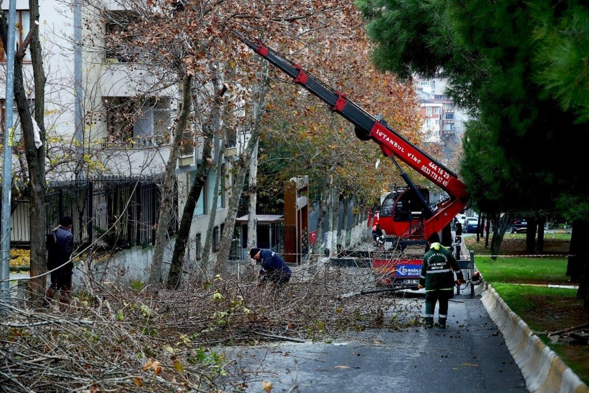 Bağcılar&rsquo;da ağa&ccedil;lara kış bakımı yapılıyor