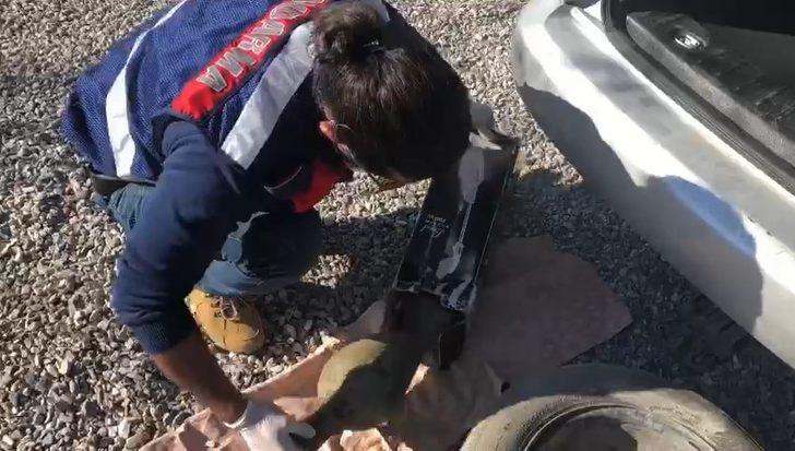 Paha biçilemez eserler süpürge kutusundan çıktı G2