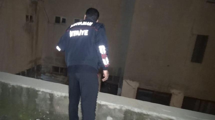 Ayağı kırık kedi tedavi altına alındı