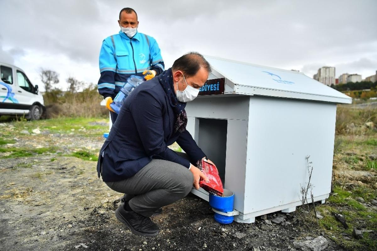 Beylikd&uuml;z&uuml;&rsquo;ne kış koşullarına uygun kul&uuml;beler yerleştirildi