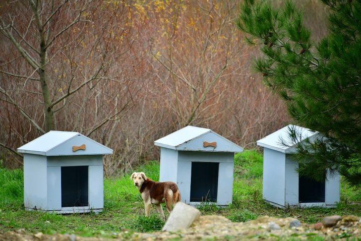 Beylikdüzü’ne kış koşullarına uygun kulübeler yerleştirildi G3