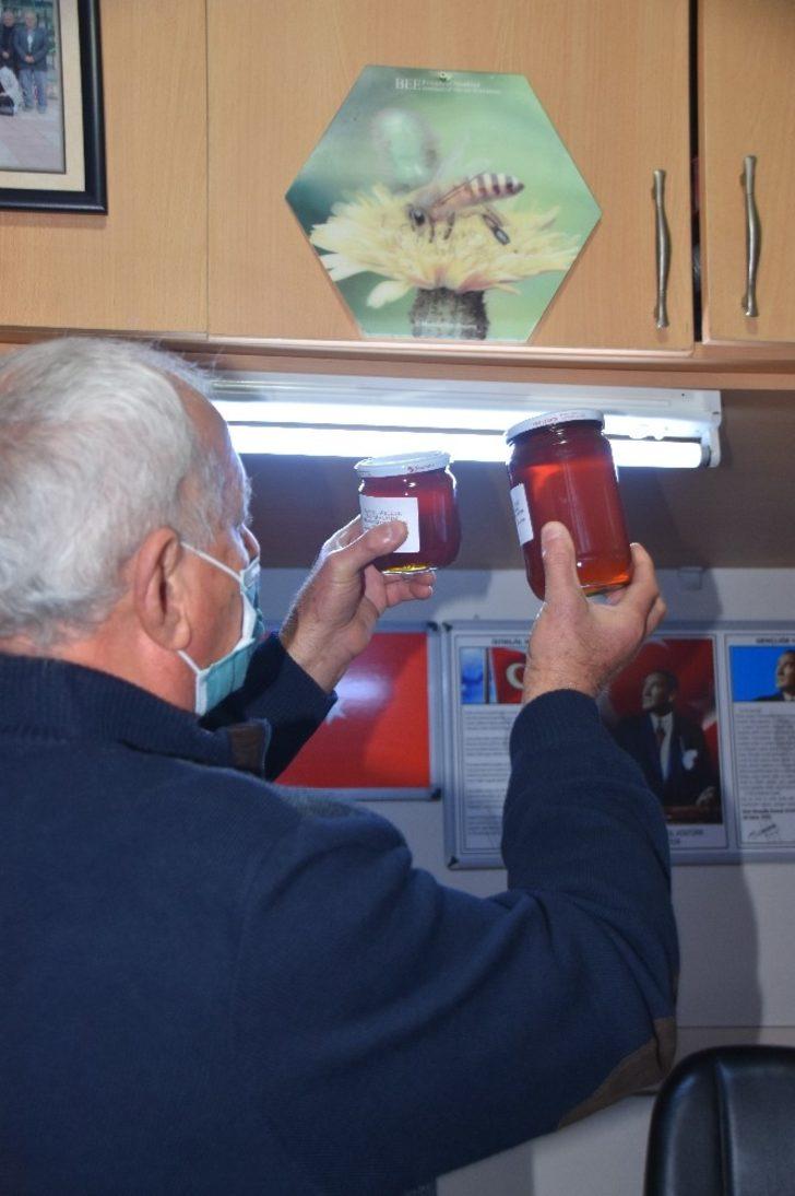 Sinop kestane balı tescillendi G4