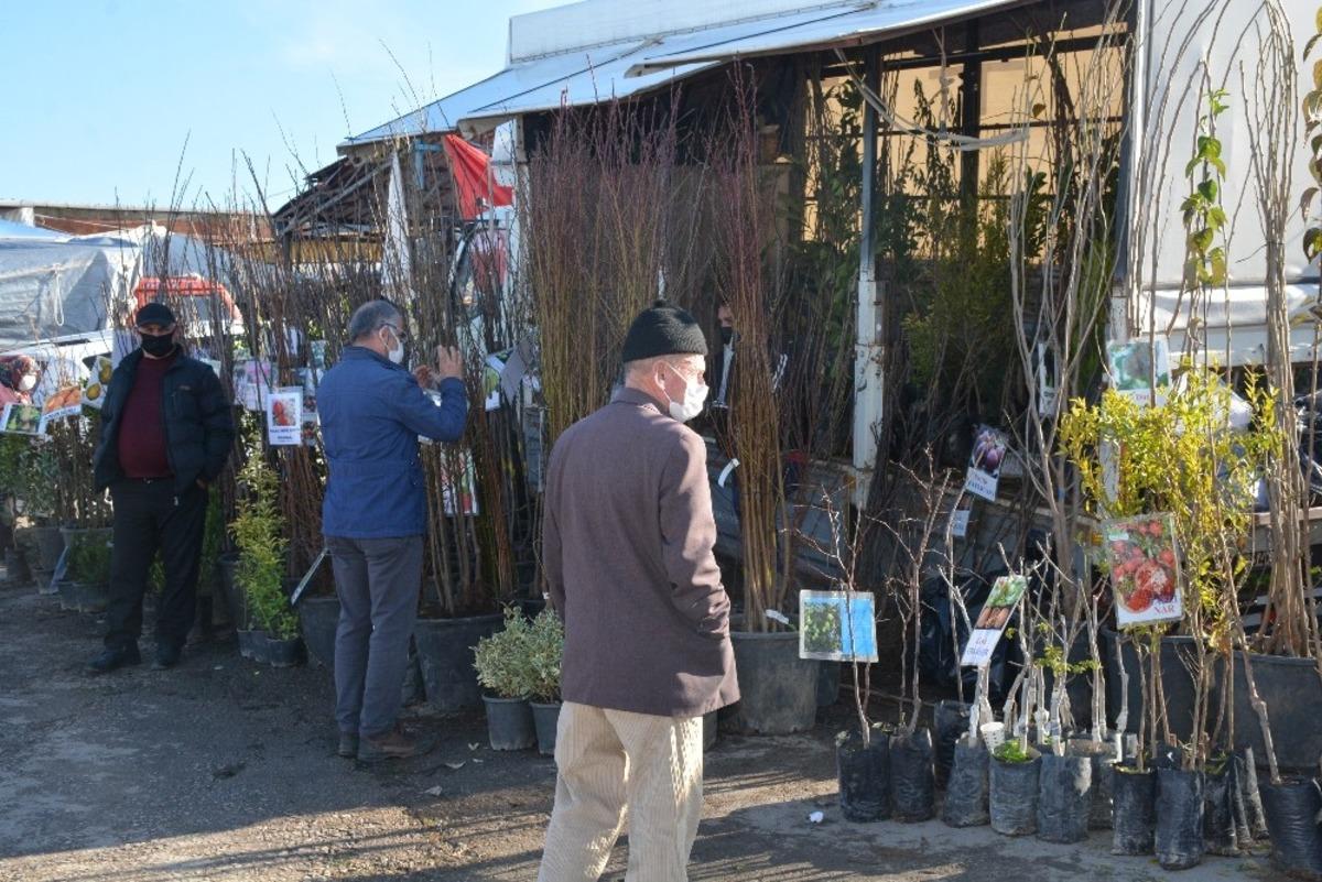 Sinop&rsquo;ta k&ouml;ylere g&ouml;&ccedil; arttı, fidan satışlarını patladı
