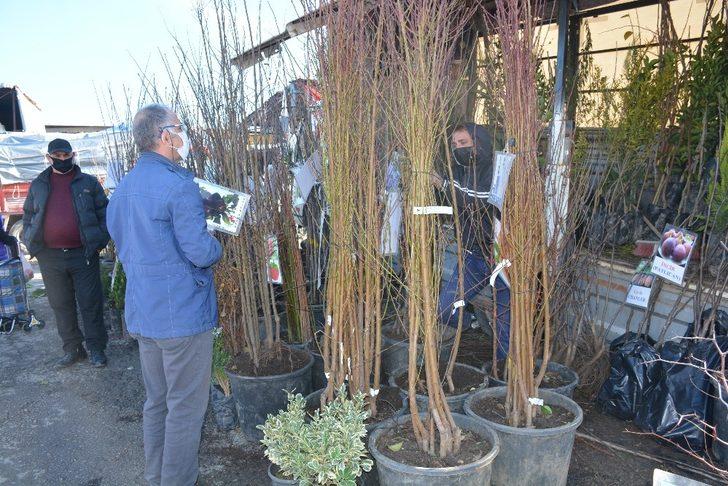 Sinop’ta köylere göç arttı, fidan satışlarını patladı G2