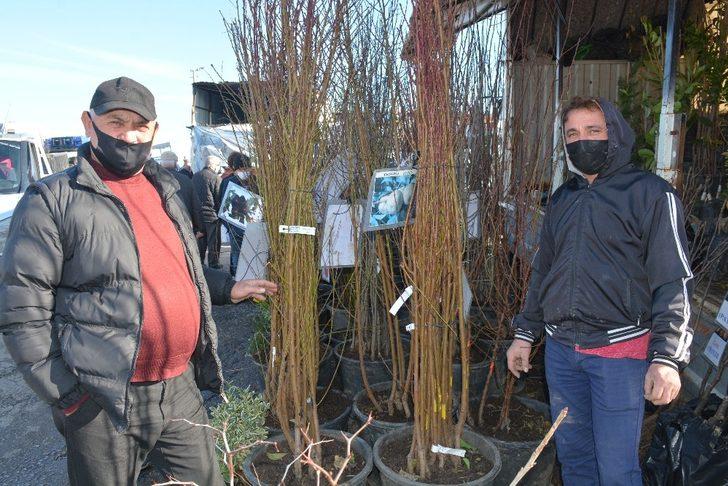 Sinop’ta köylere göç arttı, fidan satışlarını patladı G3