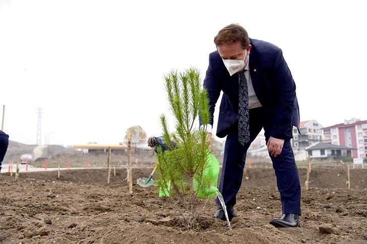 Karesi’de fidanlar toprakla buluşuyor G4