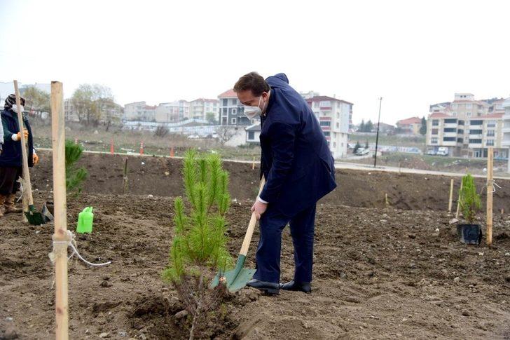 Karesi’de fidanlar toprakla buluşuyor G5