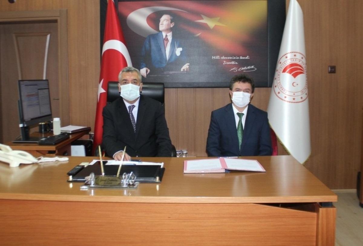 Başyayla il&ccedil;esine modern Y&ouml;r&uuml;k pazarı