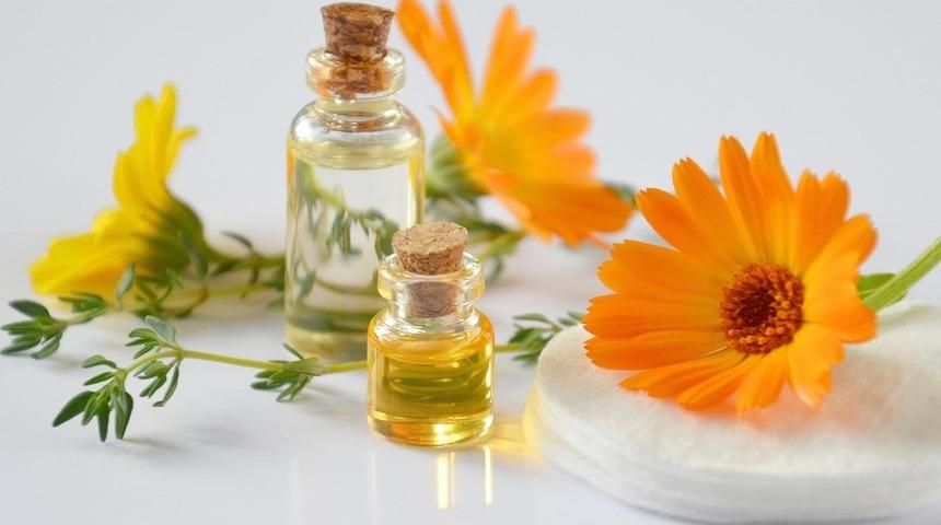 Aynısefa &ccedil;i&ccedil;eğinin yararları nelerdir? Aynısefa hangi hastalıklara iyi gelir?