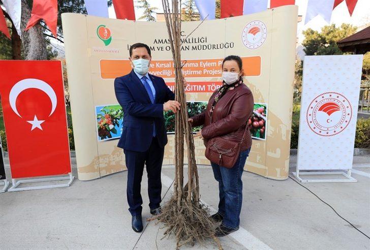 Amasya çiftçisine kiraz fidanı desteği G2