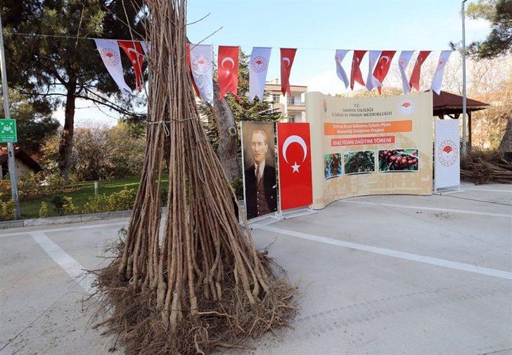 Amasya çiftçisine kiraz fidanı desteği G4