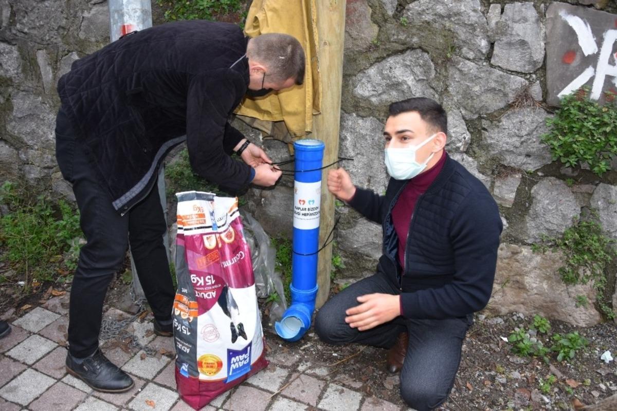 AK Parti&rsquo;den sokak hayvanları i&ccedil;in &ouml;rnek proje