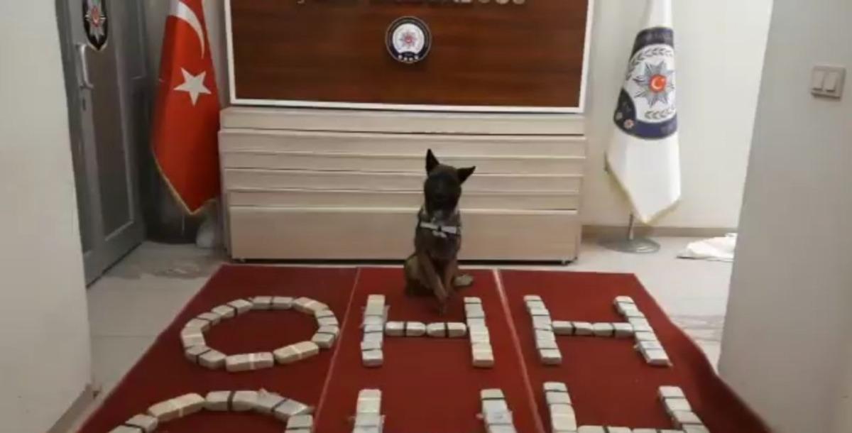 Van&rsquo;da bir otomobilde 30 kilo eroin ele ge&ccedil;irildi