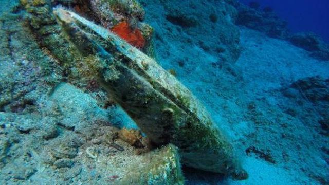 Tedirgin eden gelişme! Toplu pina ölümleri Marmara'ya da sıçradı