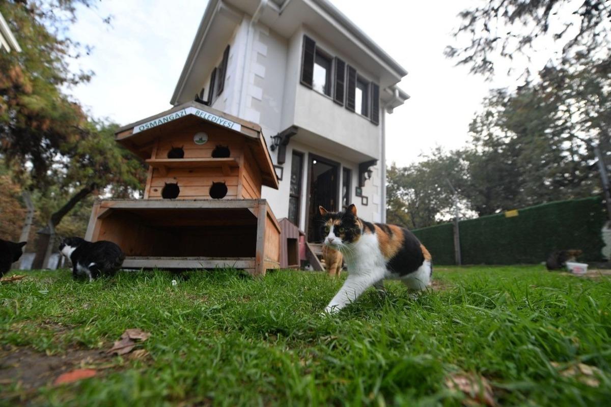 8 bin 451 can dostu sağlığına kavuştu