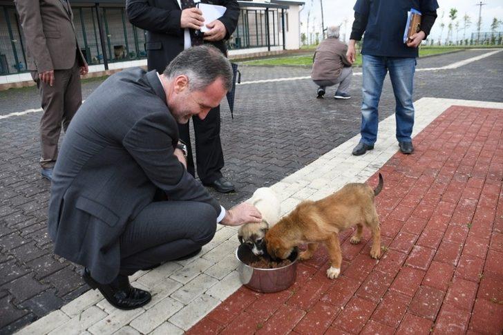 İnegöl Belediyesi 7 bin 700 can dostuna şifa oldu G3