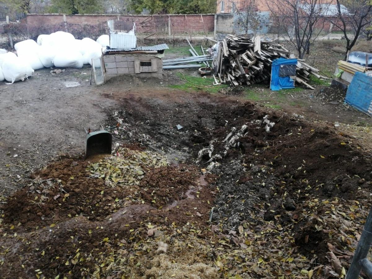 Elazığ&rsquo;da kurt, 2 koyunu telef etti