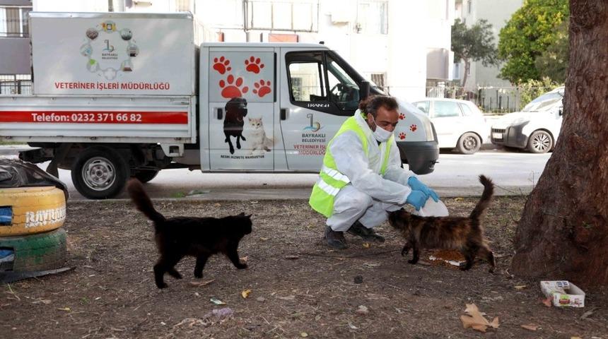Bayraklı Belediyesi sokağa &ccedil;ıkma kısıtlamasında sokak hayvanlarını unutmadı