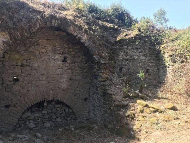 Mastaura 2020 yılının en önemli ikinci keşfi oldu G3