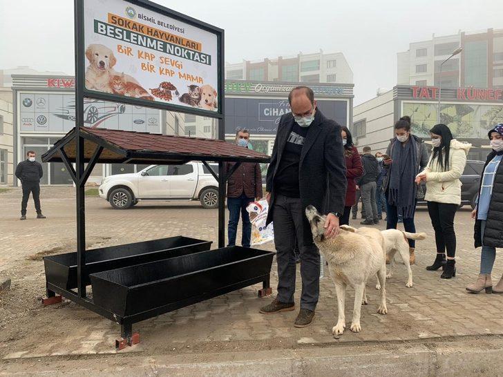 Bismil Belediyesi sokak hayvanlarını yalnız bırakmadı G2