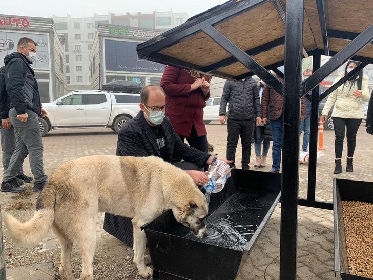Bismil Belediyesi sokak hayvanlarını yalnız bırakmadı G3