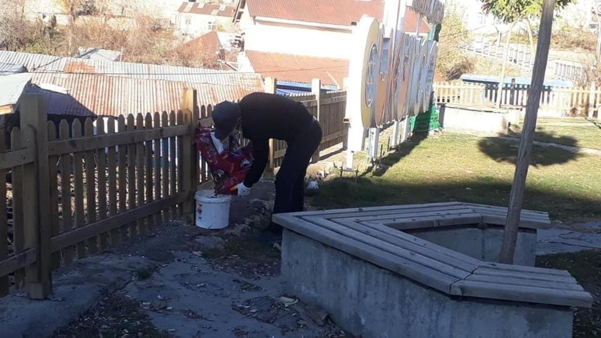 &Ccedil;ukurca Belediyesinden sokak hayvanlarına mama desteği