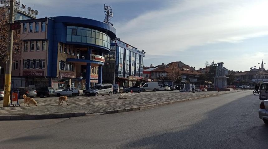 Şuhut kısıtlamaya uydu, boş kalan caddeler sokak hayvanlarına kaldı