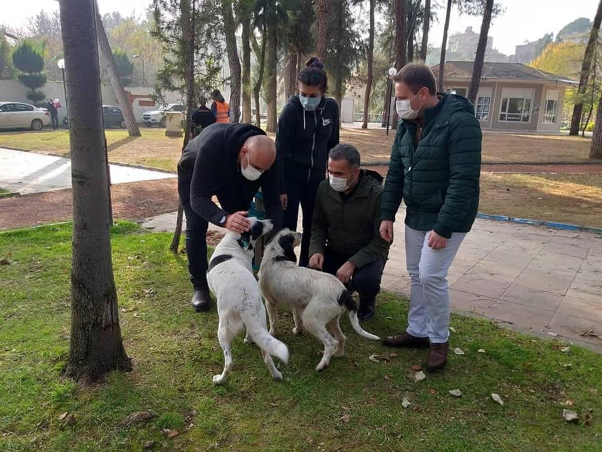 Sokağa &ccedil;ıkma kısıtlamasında Aydın&rsquo;daki sokak hayvanları yalnız bırakılmadı