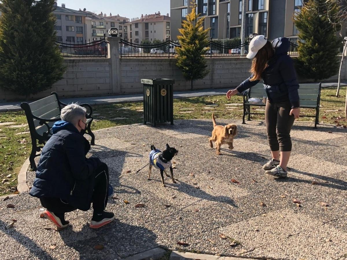 G&uuml;neşli g&uuml;nde parklar onlara kaldı