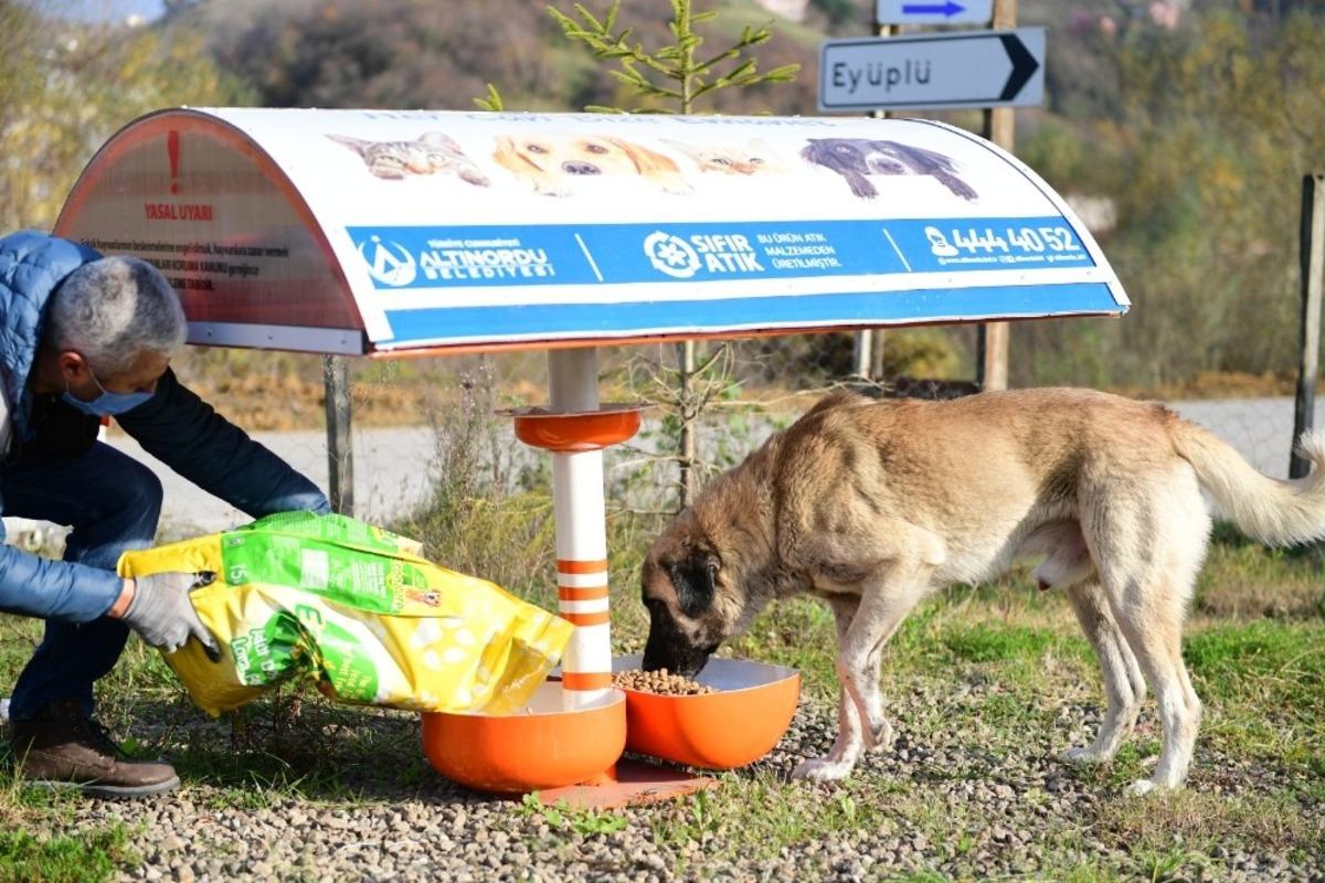 Altınordu Belediyesi can dostları unutmadı