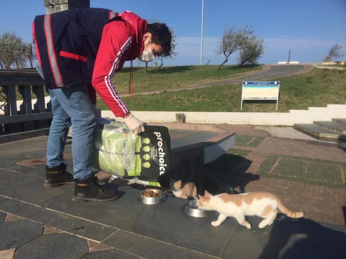 Samsun&rsquo;da sokak hayvanları unutulmadı