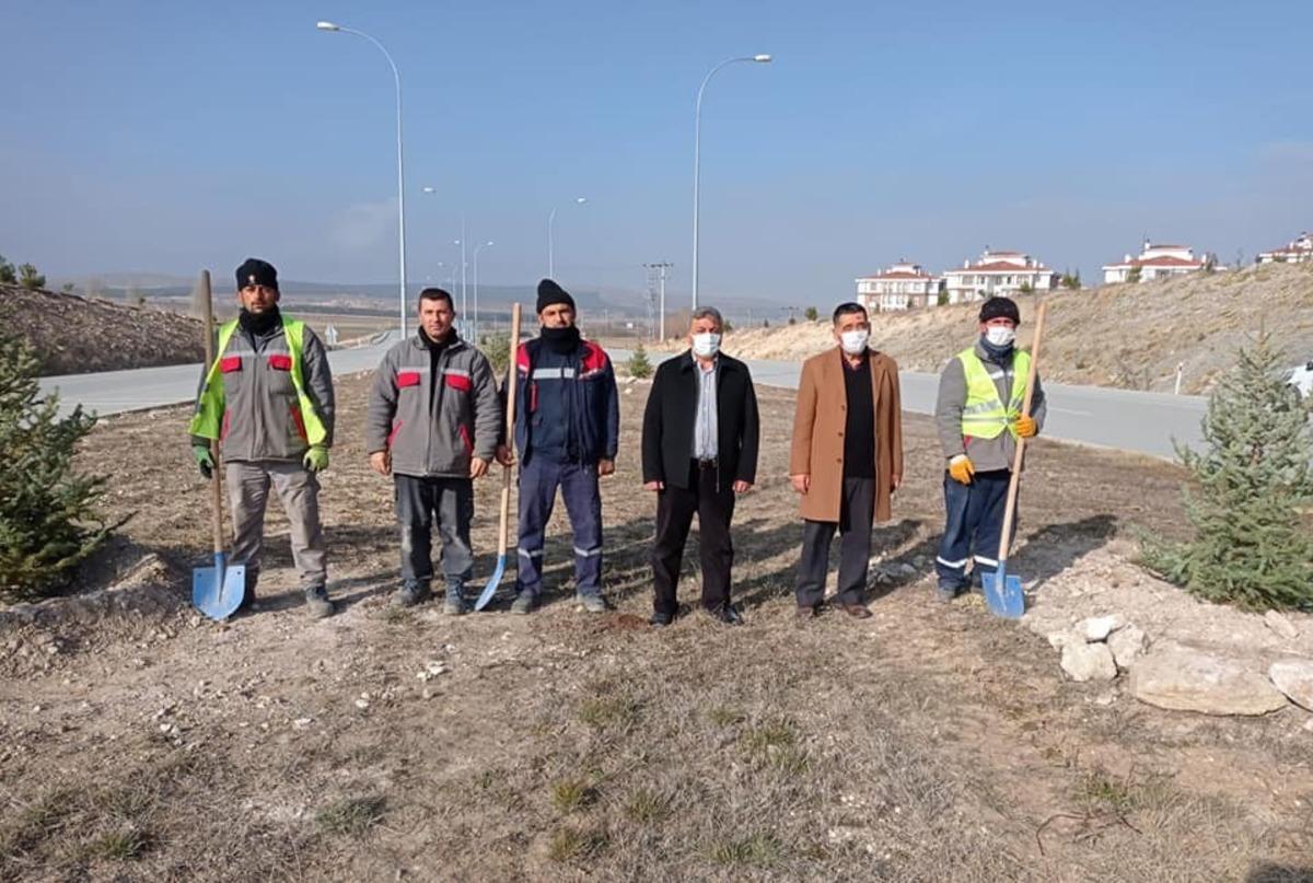 &Ccedil;evre yolundaki ağa&ccedil;landırma &ccedil;alışmaları sona erdi