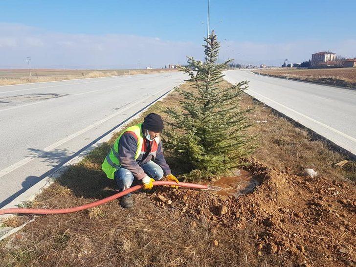 Çevre yolundaki ağaçlandırma çalışmaları sona erdi G2