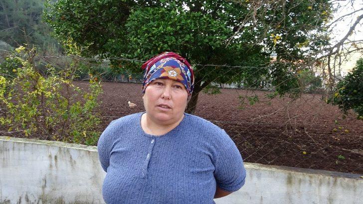 Marmaris’te çobanlara kurt ve domuz korkusu sardı G4