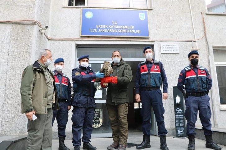 Uçamayan puhu kuşuna jandarma sahip çıktı G4