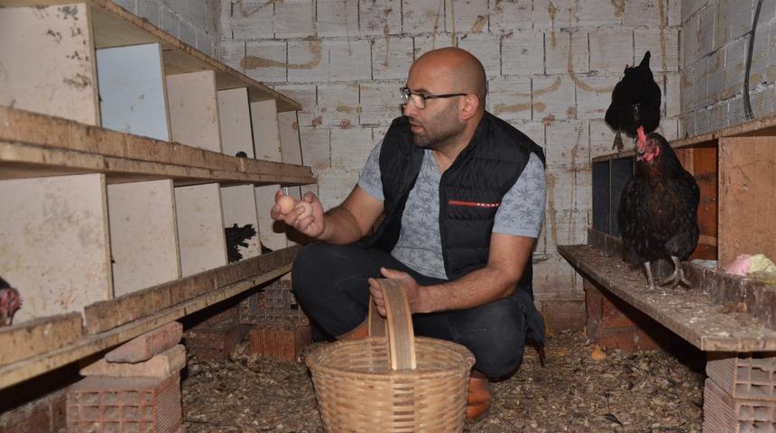 Hobi olarak başladığı tavukçulukta, aylık 25 bin lira kazanıyor