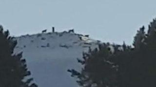Yer: Ardahan! Antrenman yapan kayak sporcuları, kurt sürüsünü görüntüledi