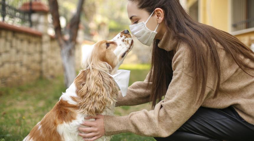  Tüm bilinmeyenleri ile kistik ekinokokkoz
