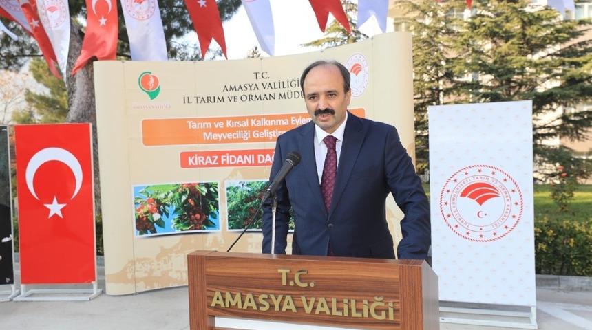 Amasya&rsquo;da hedef kiraz ihracatını artırmak
