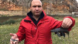 Eskişehir'de alarm! Suların kalitesini yok eden istilacı balıklar görüldü