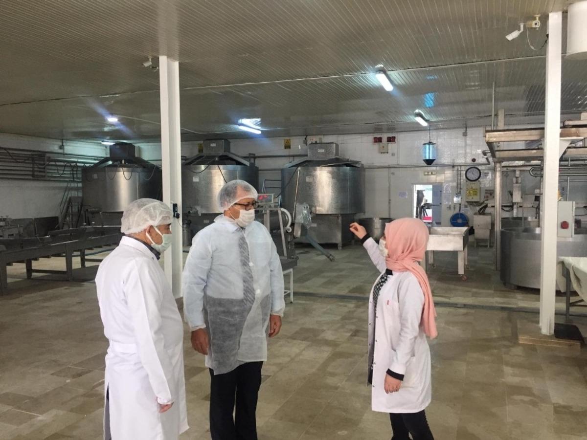 Altıntaş, S&uuml;t İşletmeleri&rsquo;nde incelemelerde bulundu