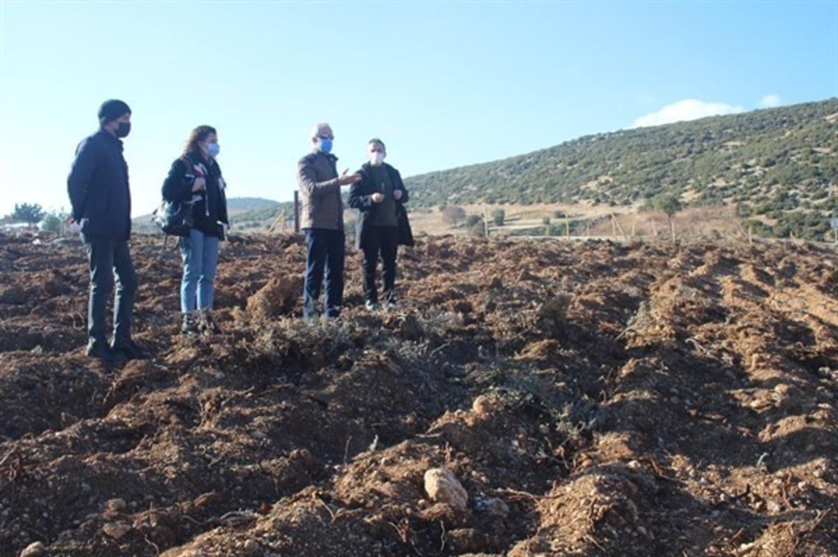 Isparta&rsquo;da 500 bin lavanta fidanı toprakla buluşuyor