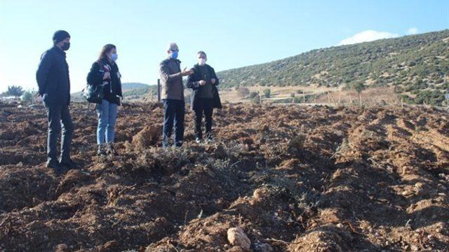 Isparta’da 500 bin lavanta fidanı toprakla buluşuyor