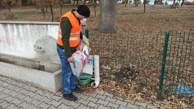 Gediz Belediyesi sokak hayvanlarını unutmadı