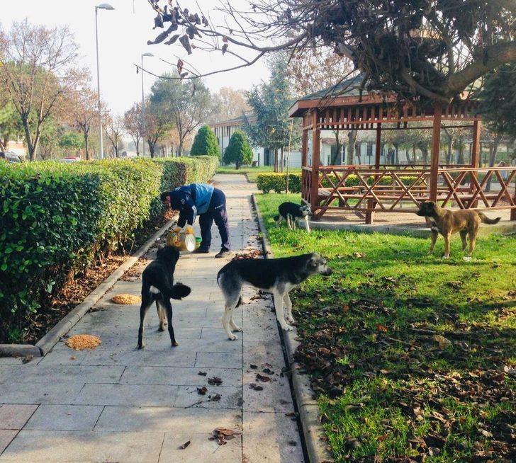 Körfez’de sokağa çıkma kısıtlamasında yoğun mesai G3